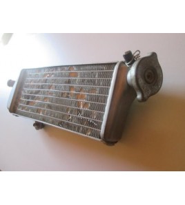 radiateur droit 250 350 450 2011 2012