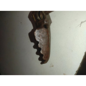 cale pied gauche cr 80 1982 1983