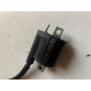 bobine rm 250 1988