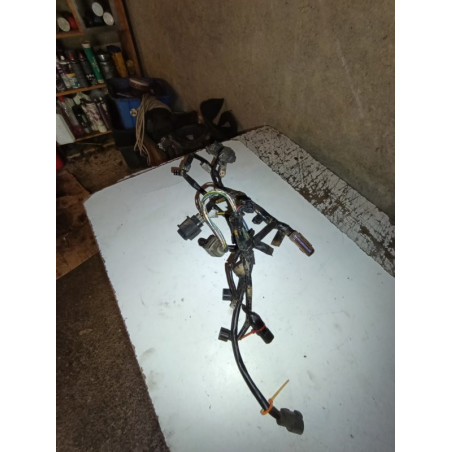faisceau électrique rmz 250 2010
