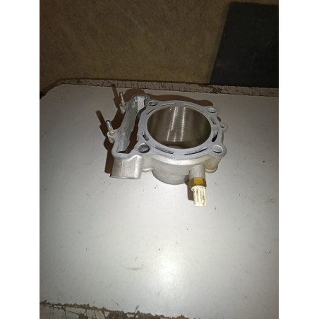 cylindre athena rmz 250 2010 2018