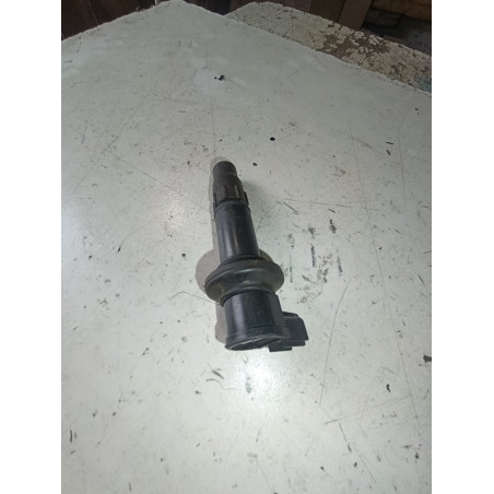 bobine yzf 250 2006 2009